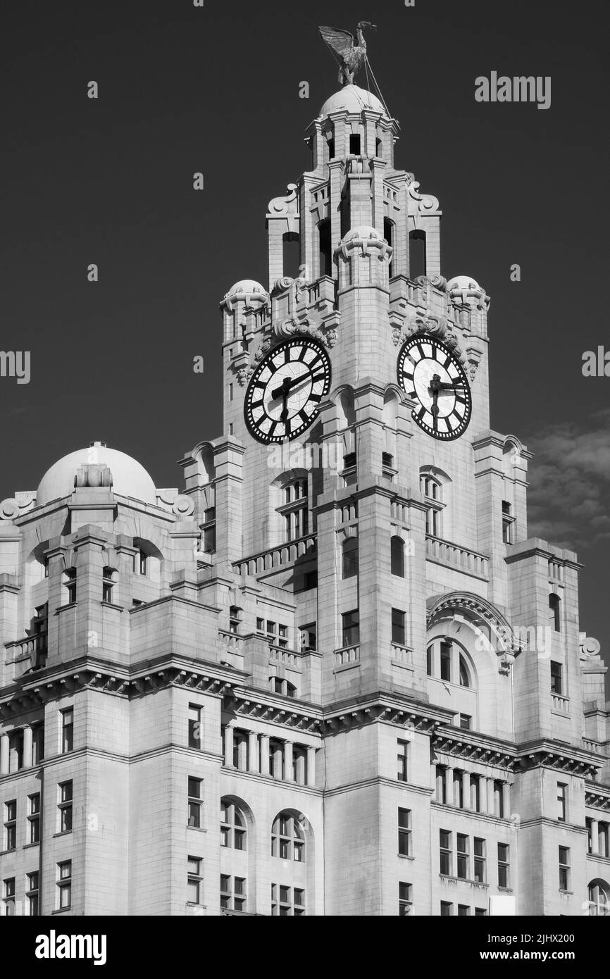 Das Royal Liver Building - Schwarz-Weiß-Version Stockfoto