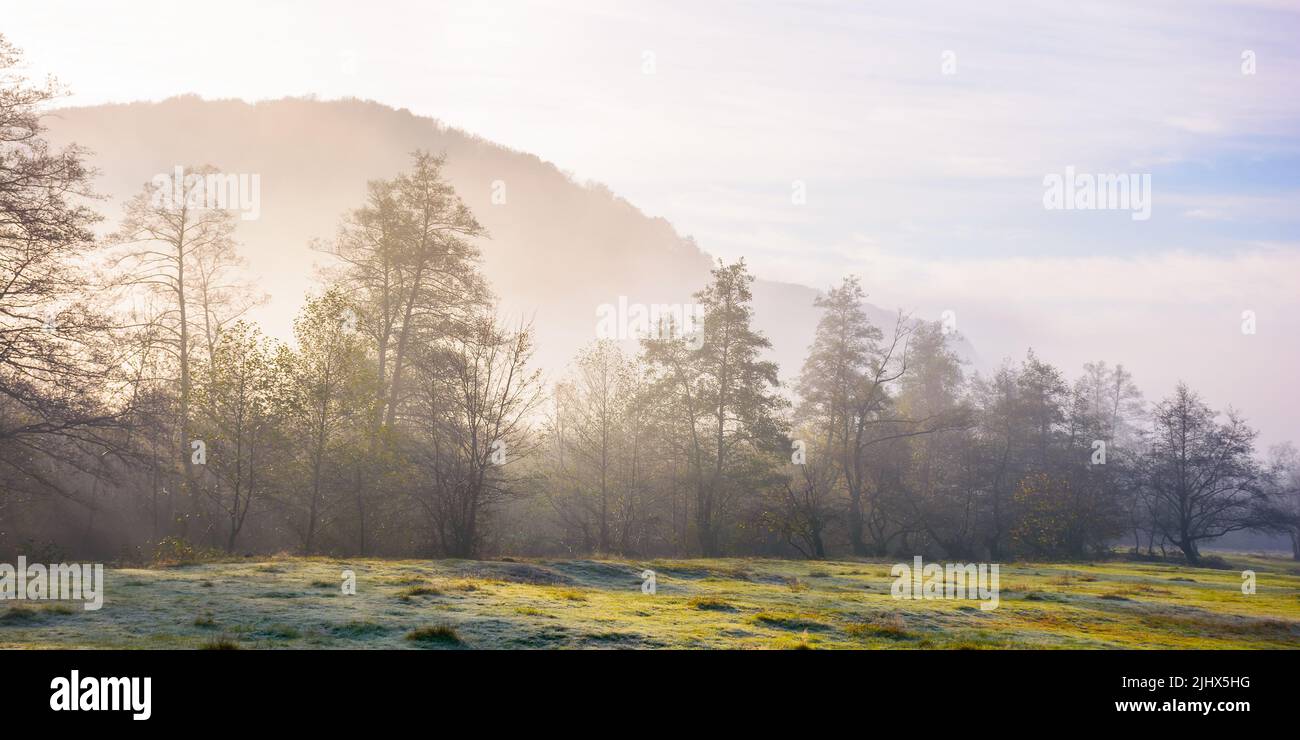 transkarpatische Landschaft im Herbst. Wunderschöne Landschaft mit Wald und Wiese im Morgennebel. Atemberaubende Abenteuer bei geheimnisvollem Wetter bei Sonnenbräunern Stockfoto