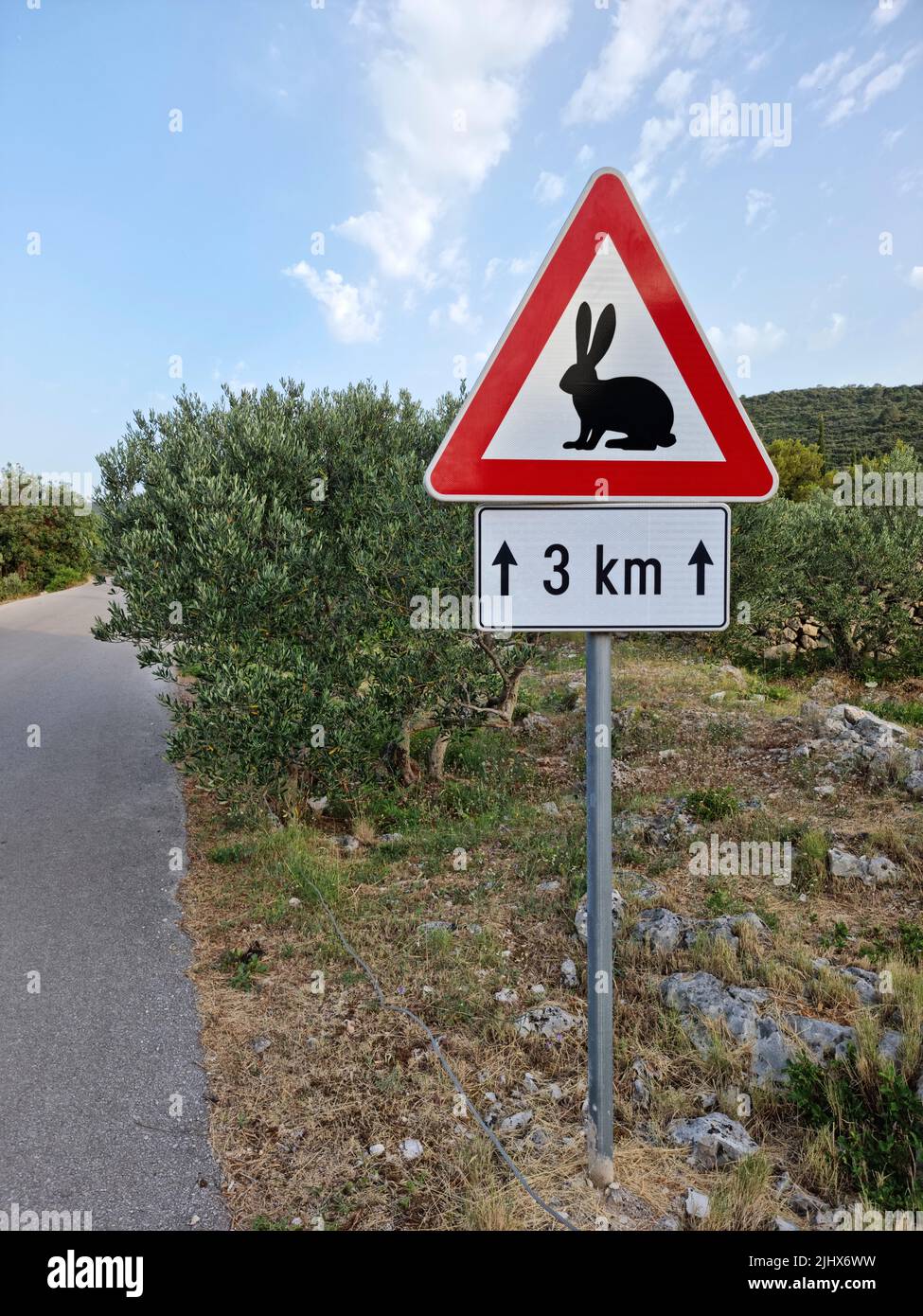 Kaninchen überqueren Warnschild entlang einer Straße in Kroatien (Insel Korčula, Dalmatien, Kroatien) platziert. Stockfoto