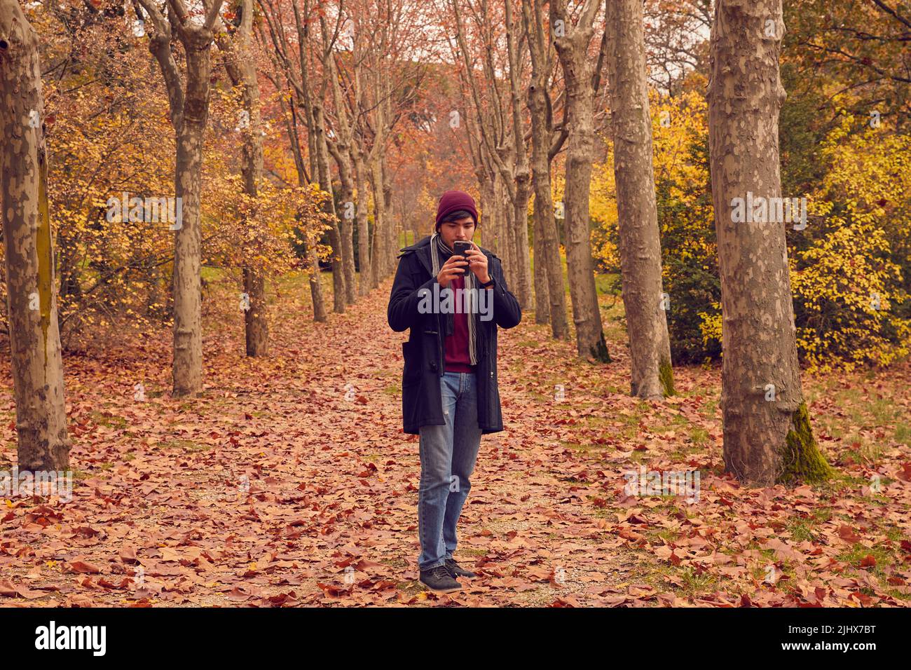 Junge weiße kaukasische Mann Blick auf Smartphone in einem Korridor von Bäumen über braun gefallenen Blättern im Wald in langen Mantel und Kappe gekleidet. Herbstfarben Stockfoto