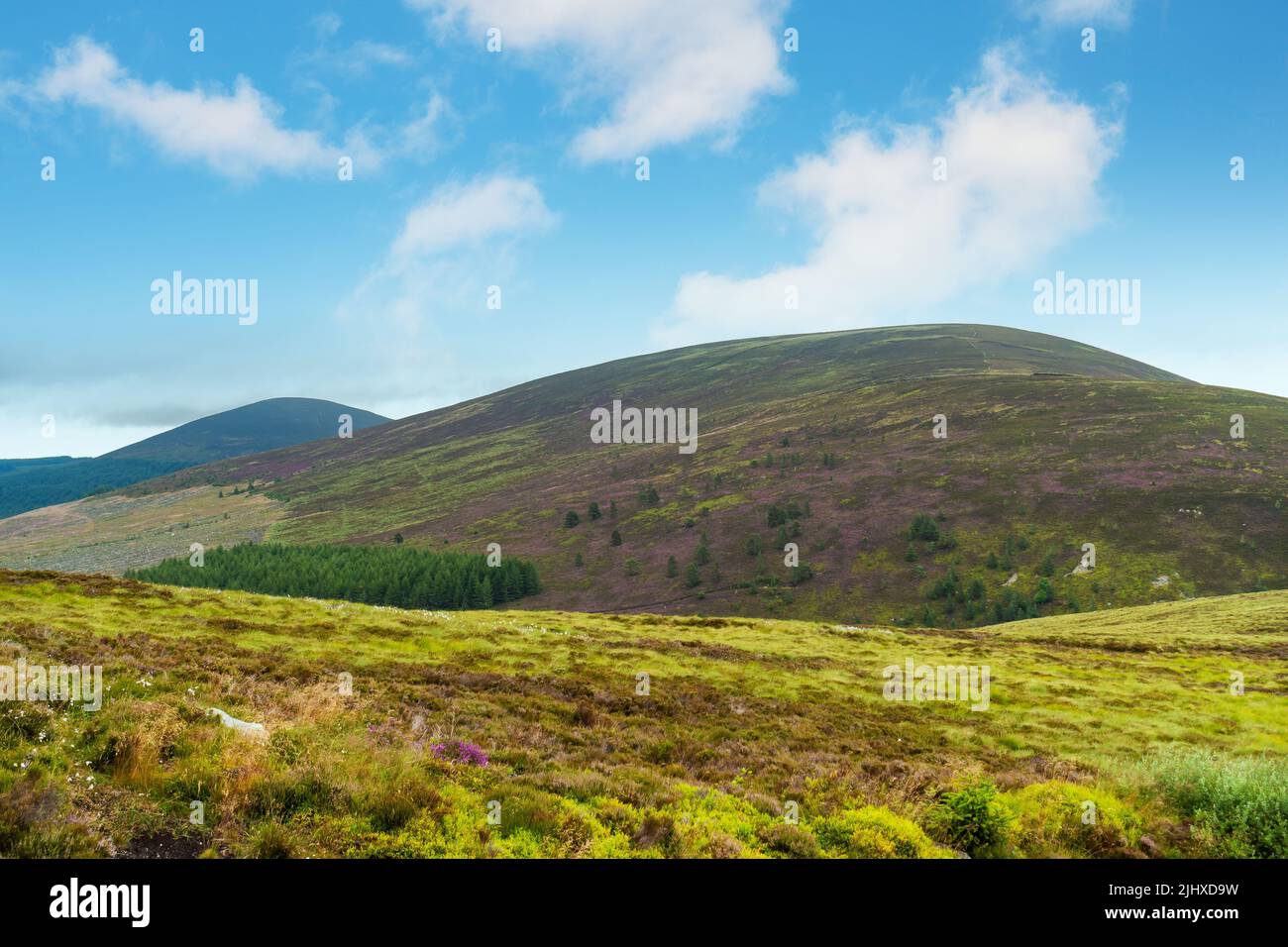 Die Hügel von Meikle Conval (rechts) und Little Conval (links) in der Nähe von Dufftown, Morayshire, Schottland Stockfoto