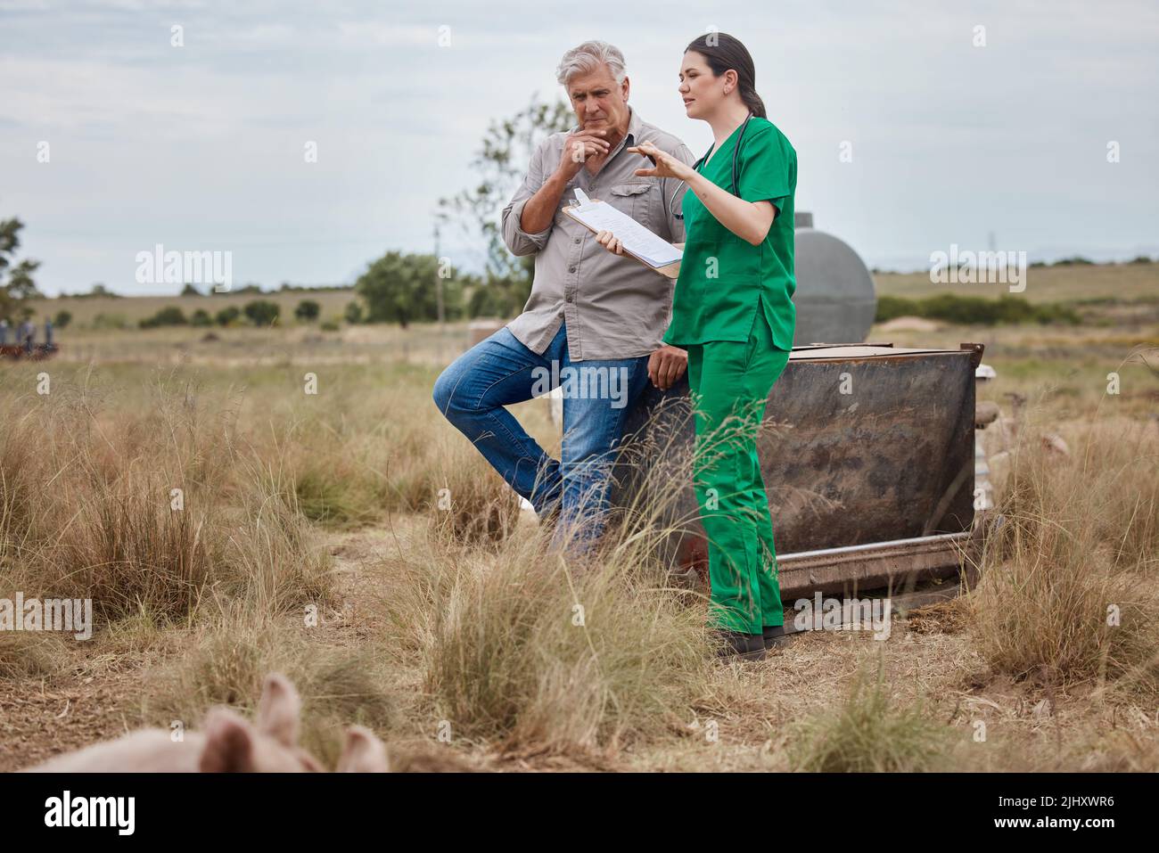 Waren im gleichen Team um der Tiere willen. Ein Tierarzt im Gespräch mit einem reifen Mann auf seiner Farm. Stockfoto