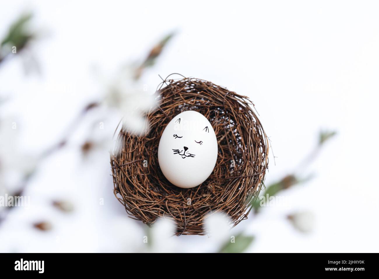 Frohe Ostern. Schönes weißes Ei im Korbnest auf weißem Hintergrund. Bild eines sanften Kätzchens. Draufsicht durch verschwommene, blühende Frühlingszweige. Stilvolle, sanfte Federvorlage mit Copy Space Stockfoto
