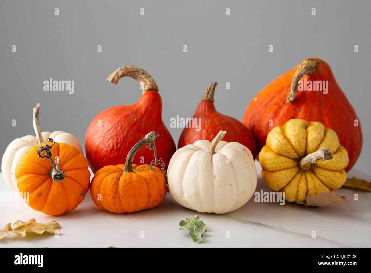 Herbst Urlaub Hintergrund mit Kürbis Set saisonalen Speisen Stockfoto