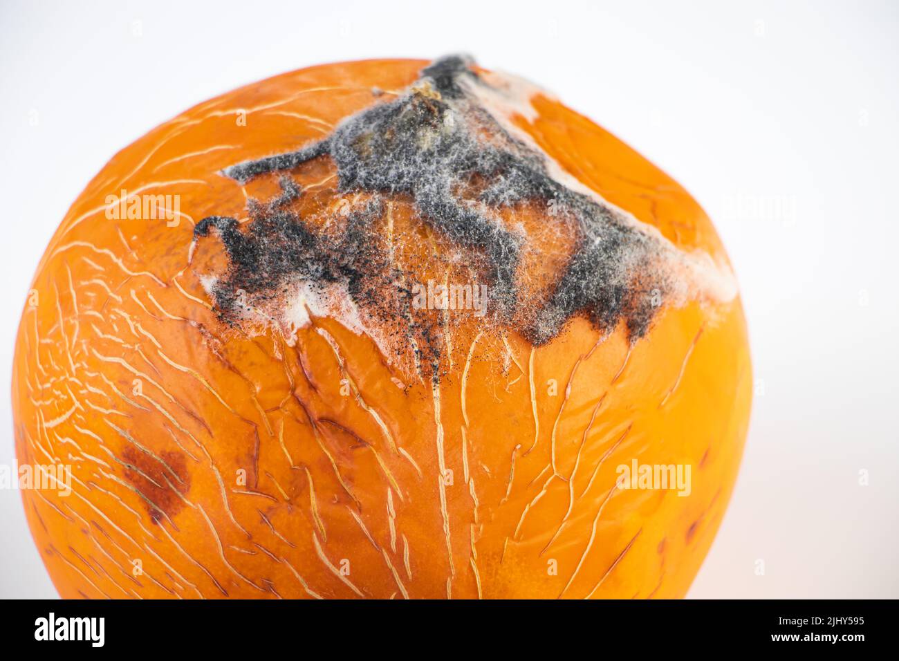 Nahaufnahme von Schimmel auf Früchten. Schimmelige Melone. Das Essen war verdorben. Unsachgemäße Lagerung von Gemüse. Stockfoto
