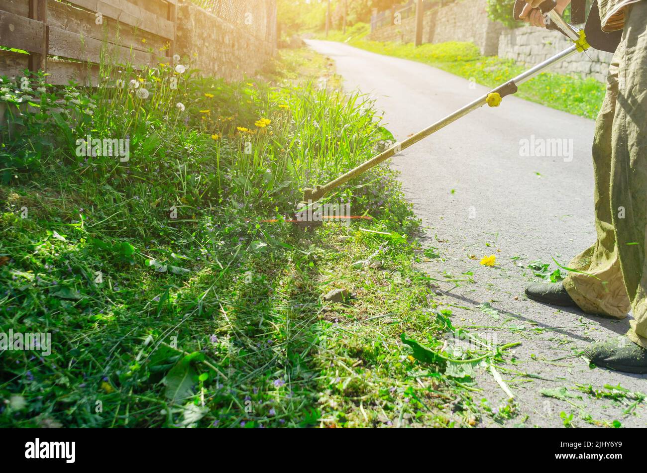 Der kabellose Gartentrimmer mäht das Gras in der Nähe des Zauns Stockfoto