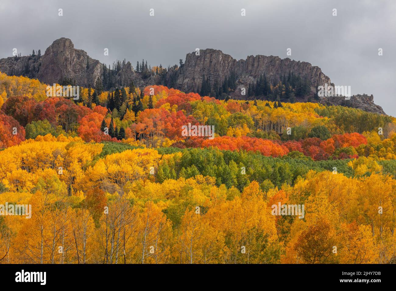 Herbst Farben in der Nähe von Kebler Pass westlich von Crested Butte, Colorado Stockfoto
