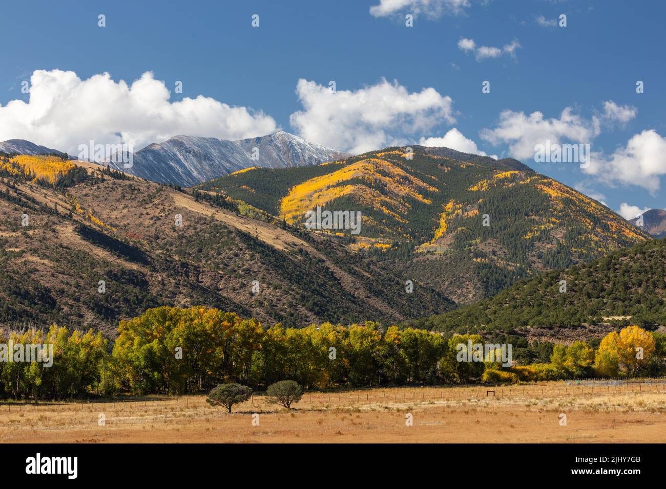 Herbstfarben entlang der US 50, der Sawatch Range, Poncha Springs, Chaffee County, Colorado Stockfoto
