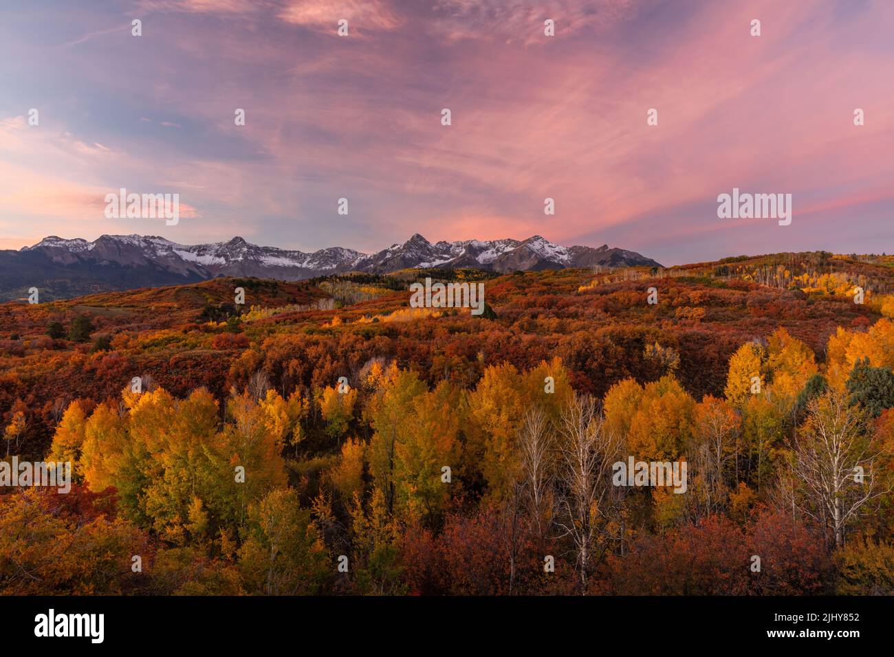 Sonnenaufgang über dem Sneffels Range in Dallas Divide im Herbst, Uncompahgre National Forest, San Juan Mountains, Colorado Stockfoto