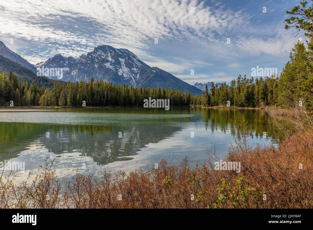 Mount Moran spiegelte sich im Frühling im String Lake im Grand Teton National Park, Wyoming, wider Stockfoto
