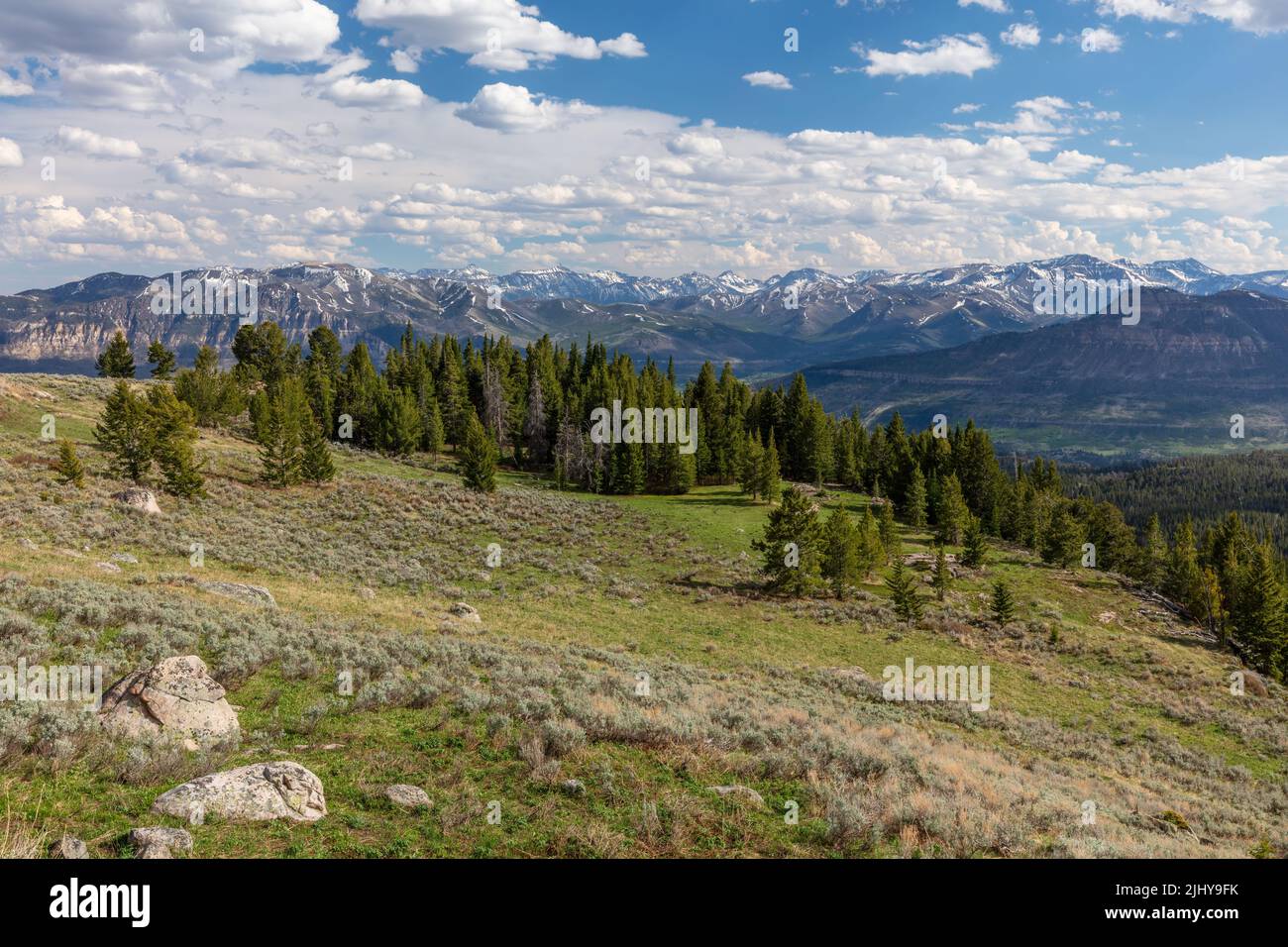 Blick auf die Absaroka Range von einem Blick auf den Beartooth Highway, Wyoming Stockfoto