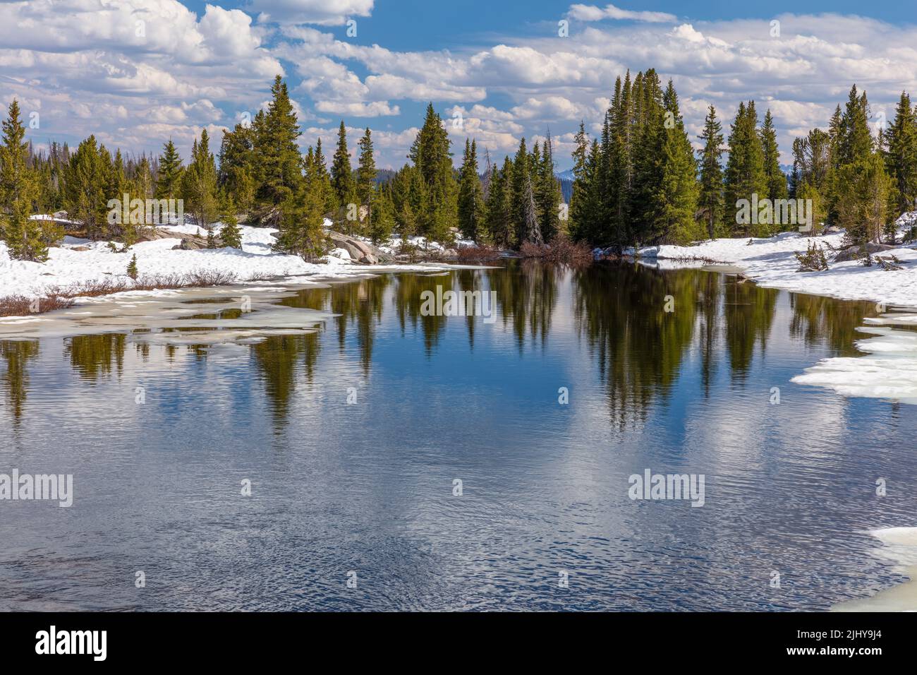 Beartooth Creek vom Beartooth Highway aus im Frühjahr, Shoshone National Forest, Wyoming Stockfoto