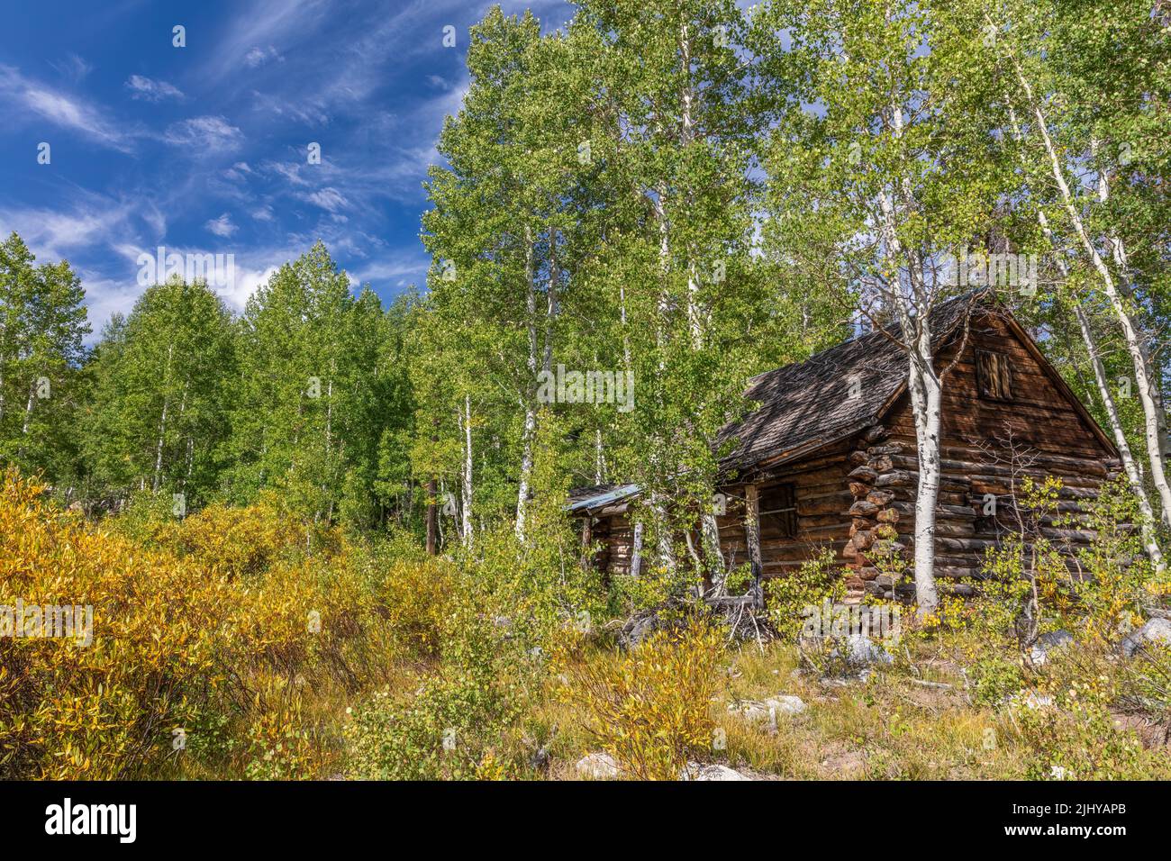 Verlassene Blockhütte im Sommer, Brighton, Big Cottonwood Canyon, Wasatch Mountains, Utah Stockfoto