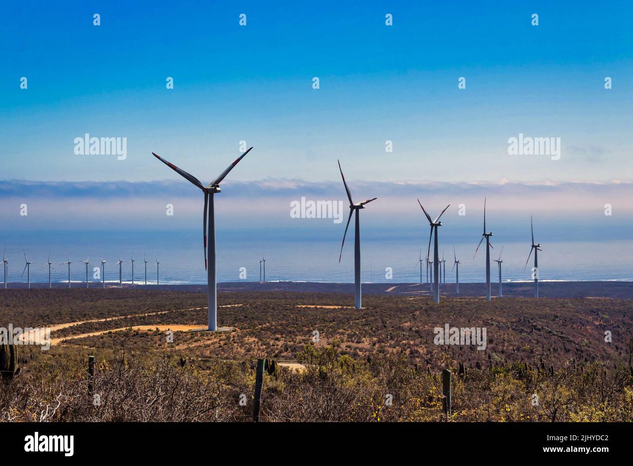 Windturbinen in der Nähe des pazifischen Ozeans mit blauem Himmel Hintergrund Stockfoto