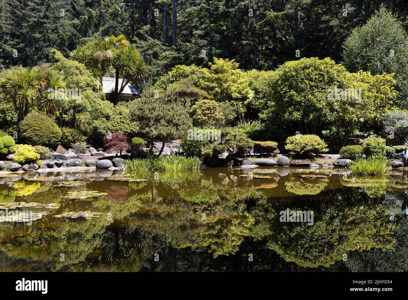 Der japanische Seerosenteich im botanischen Garten im Shore Acres State Park in Coos Bay, Oregon. Stockfoto