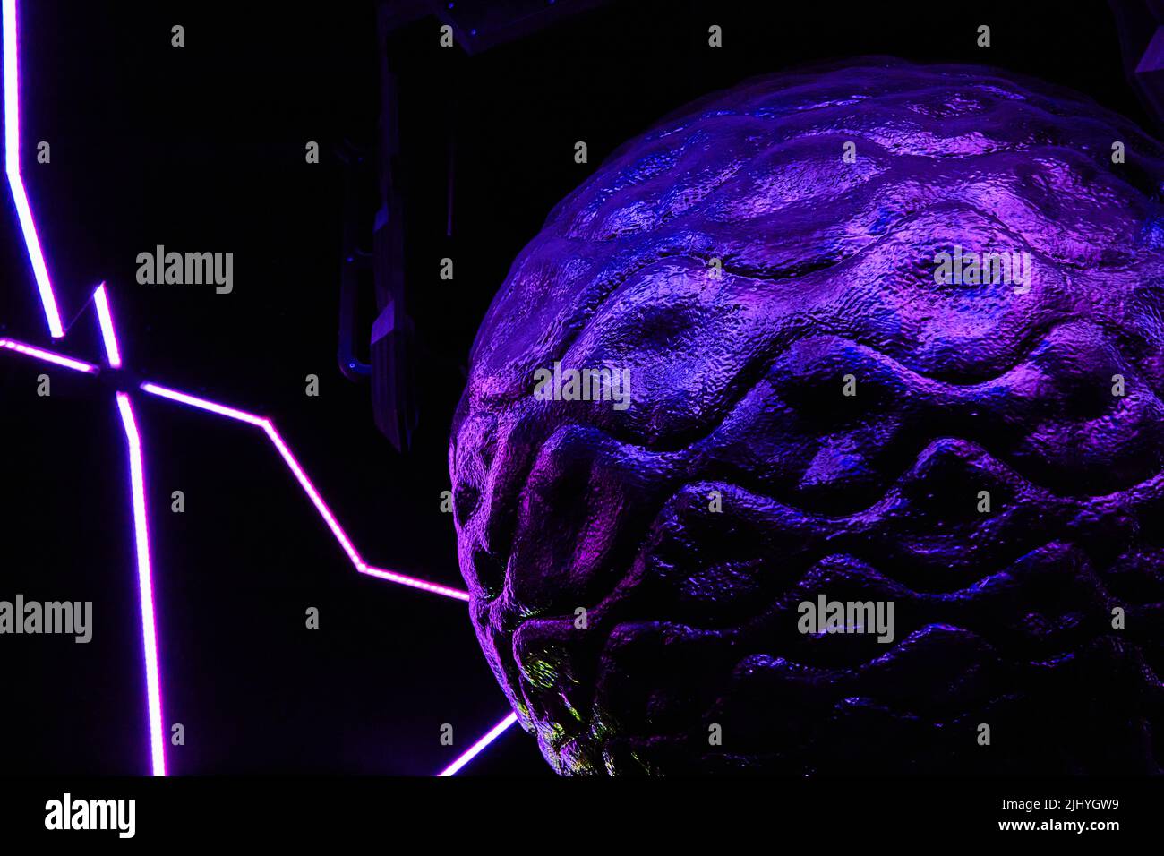 Detail der Gehirnkugel mit Neonlicht Stockfoto