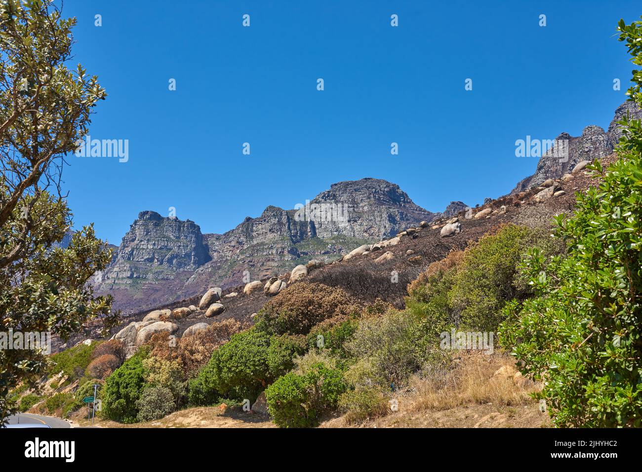 Twelve Apostles am Tafelberg in Kapstadt vor blauem Himmel mit Kopierraum. Schöne Aussicht auf Pflanzen und Sträucher, die um ein wachsen Stockfoto