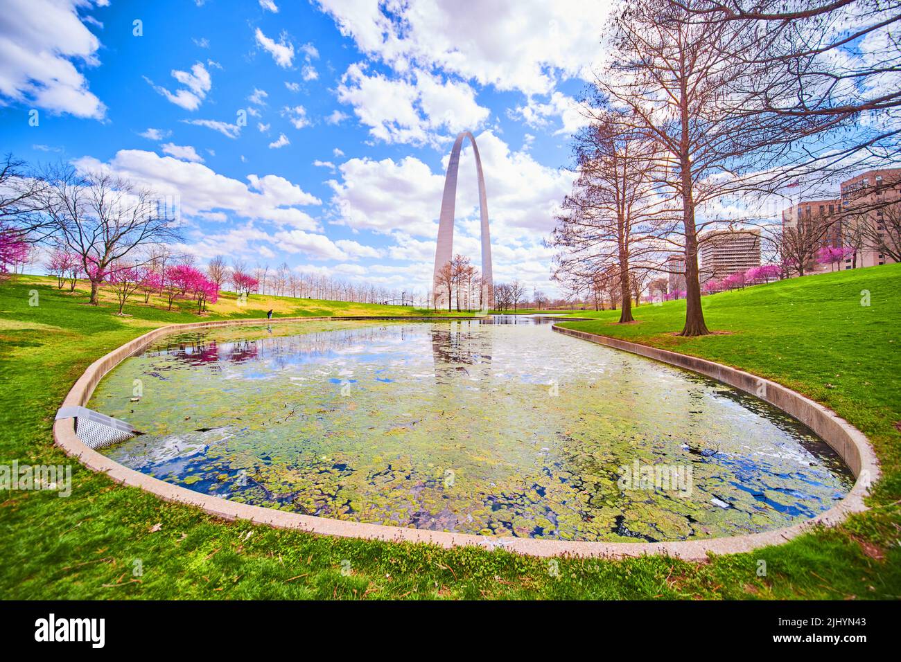 Pulsierender Frühlingsmorgen am Teich mit Algen und Gateway Arch of St. Louis im Hintergrund Stockfoto