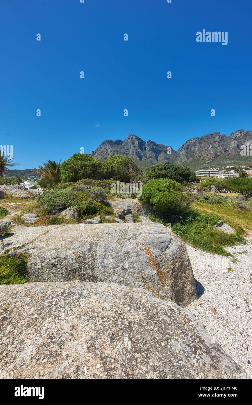 Landschaftsansicht des felsigen Küstenstrandes von Camps Bay in Richtung Tafelberg. Leben in der Natur von Kapstadt. Pfad zu schönen Felsen, Sand und üppig Stockfoto