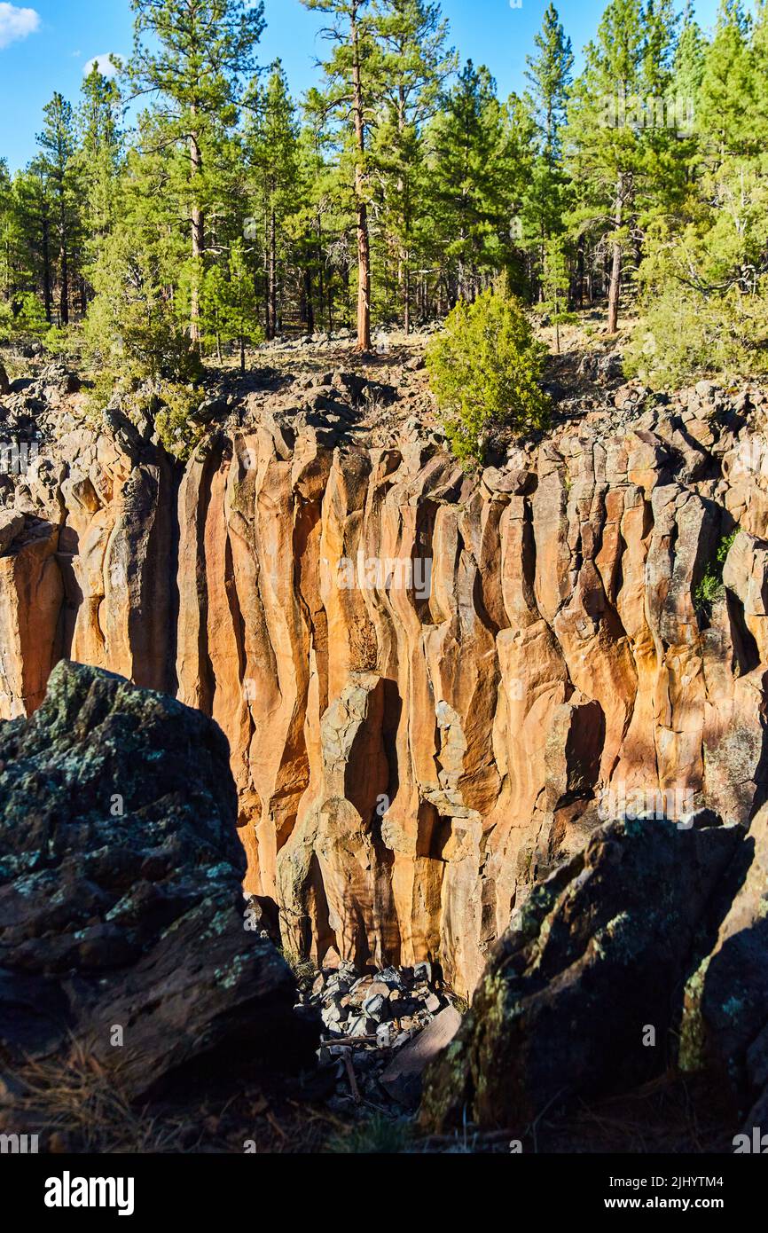 Blick über einen kleinen Canyon mit welligen goldenen Felsen und Kiefern Stockfoto