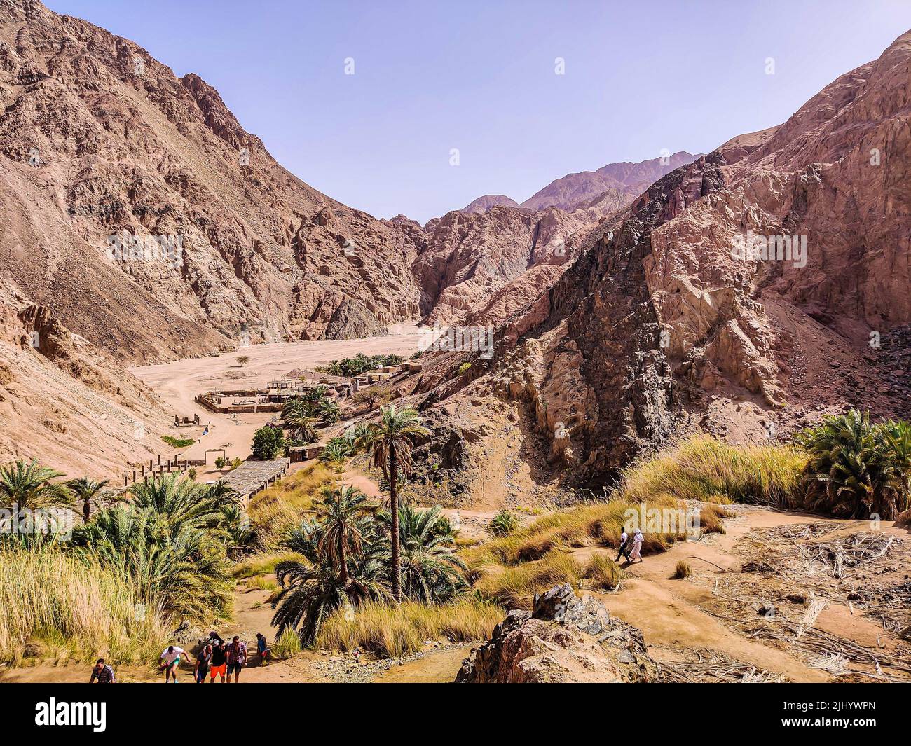 Wunderschöne Oase in der Wüste mit Blick auf Palmen und Berge in Dahab, Sinai, Ägypten Stockfoto