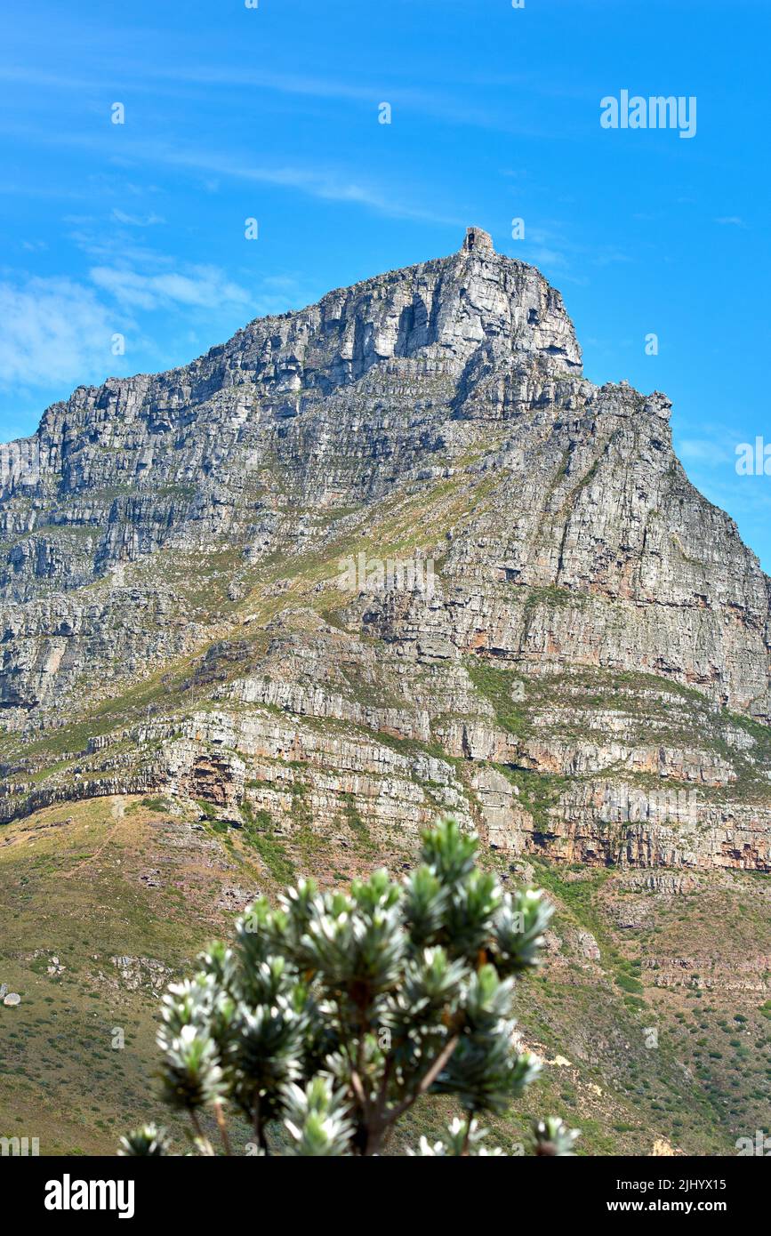 Atemberaubende Landschaft des Tafelbergs mit einem Baum darunter im Sommer mit Platz für Kopien. Blick auf den Big Mountain Nationalpark in Südafrika mit Stockfoto