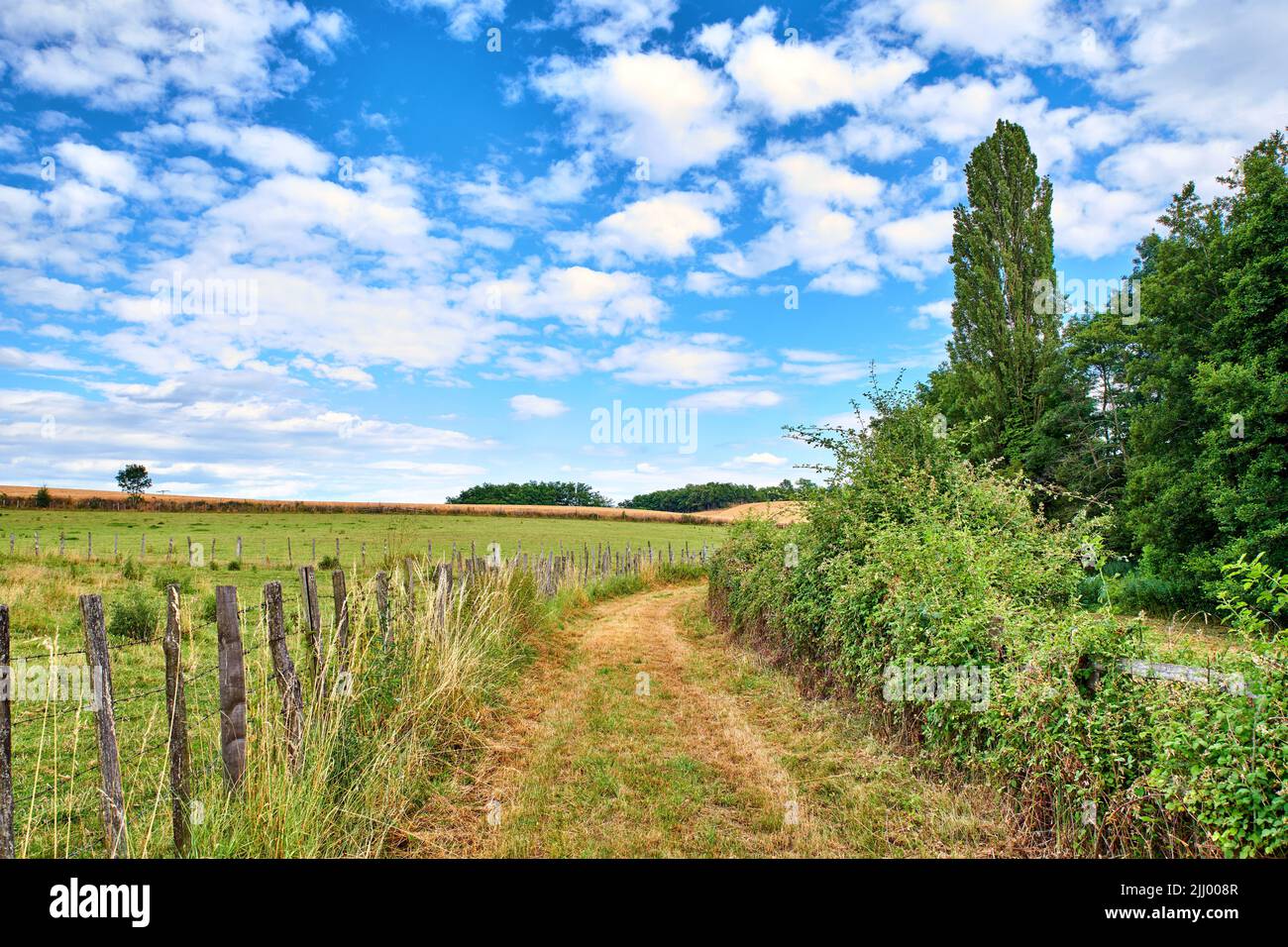 Eine unbefestigte Landstraße, die zu landwirtschaftlichen Feldern oder Weiden in abgelegener Gegend mit blauem Himmel und Kopierfläche führt. Landschaftsansicht von ruhig Stockfoto