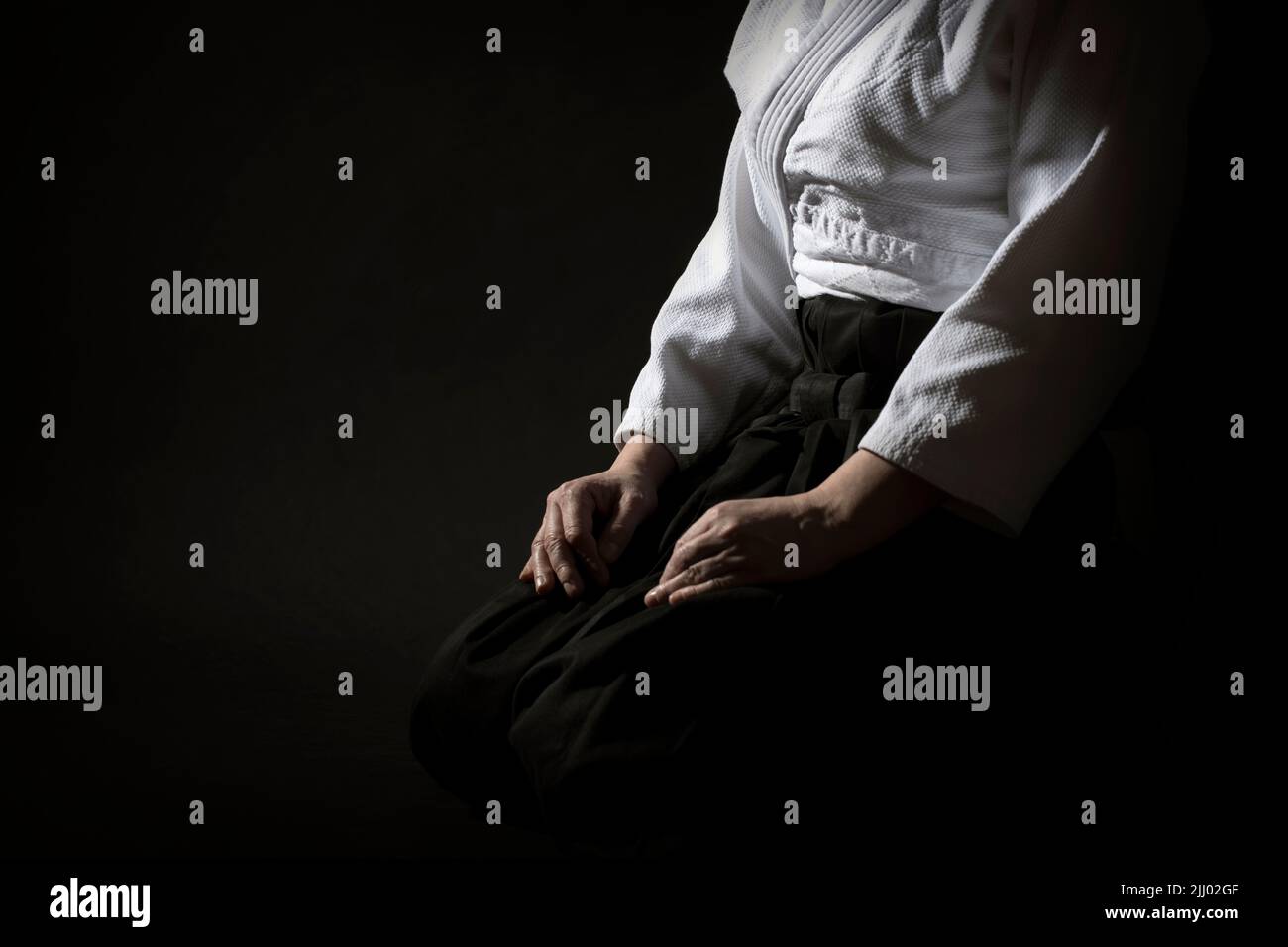 Aikido sitzende Pose in Hakama-Uniform auf schwarzem Hintergrund. Geringe Schärfentiefe. SDF. Stockfoto