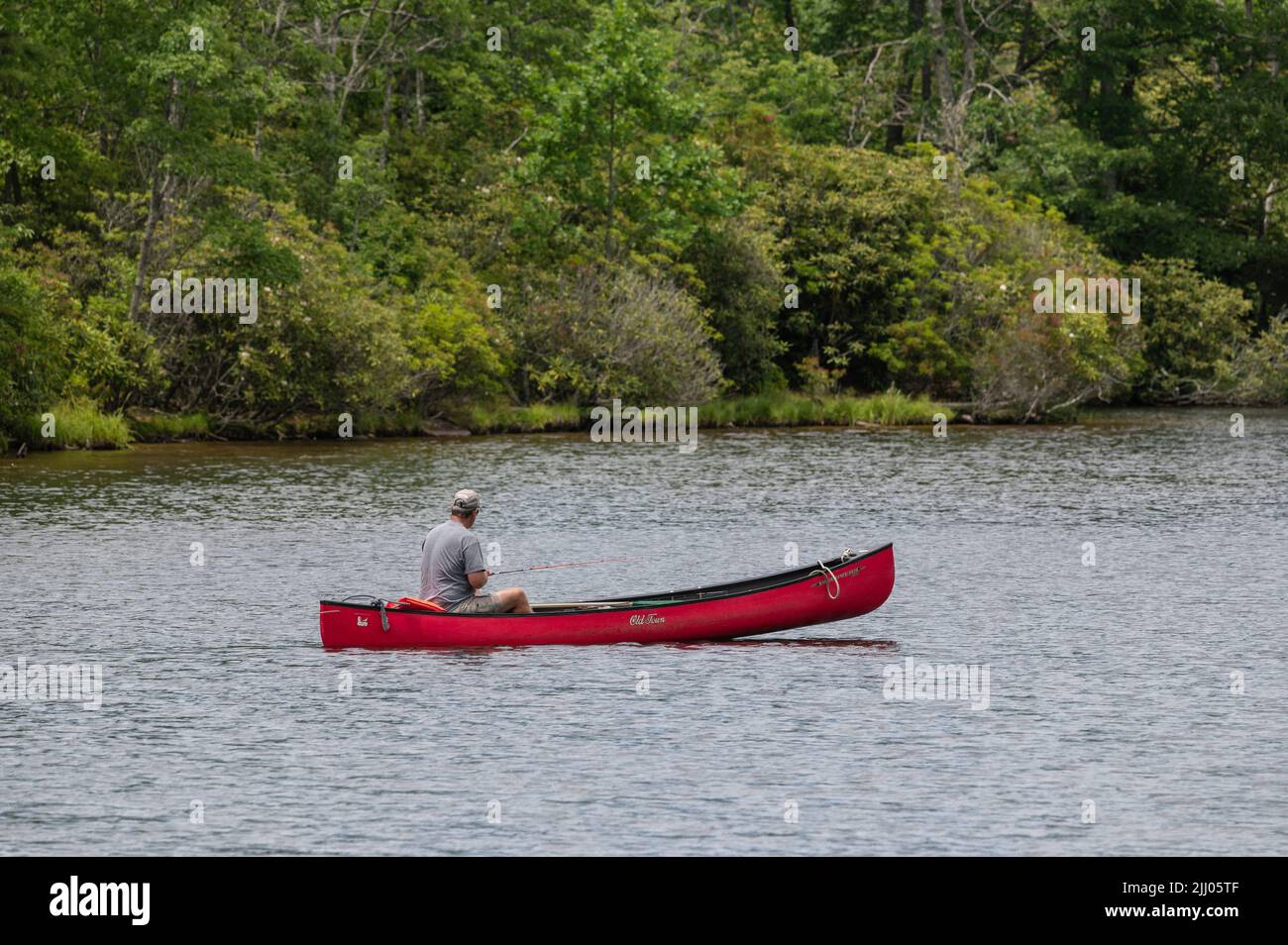 Mann mittleren Alters, der in einem roten Kanu angeln kann, Price Lake, Blue Ridge Parkway, North Carolina Stockfoto