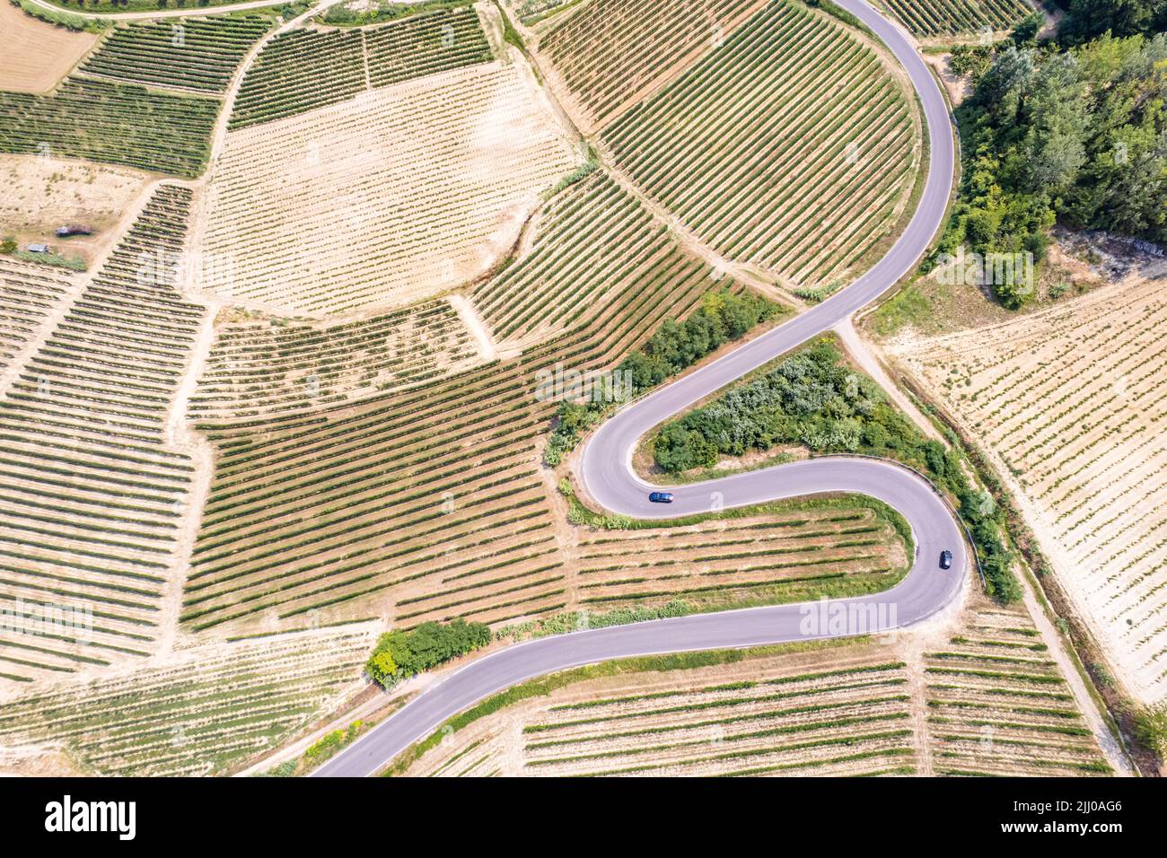 Luftaufnahme der Romantischen Straße der Langhe und Roero zwischen endlosen Landschaften von Weinbergen. Piemont Italien Stockfoto