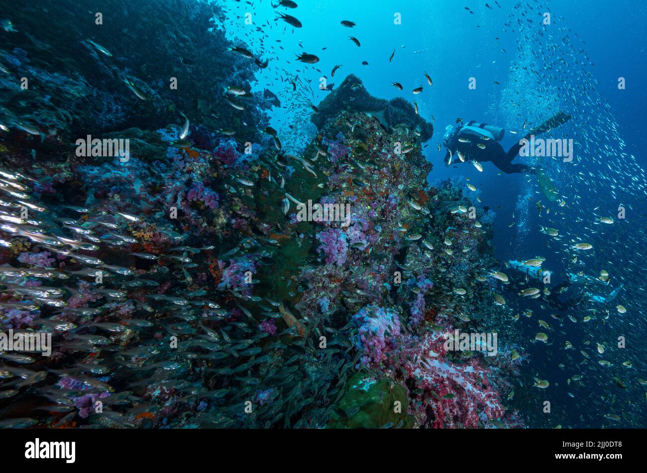 Unterwasserfotograf beim Tauchen an der Andamanensee Stockfoto