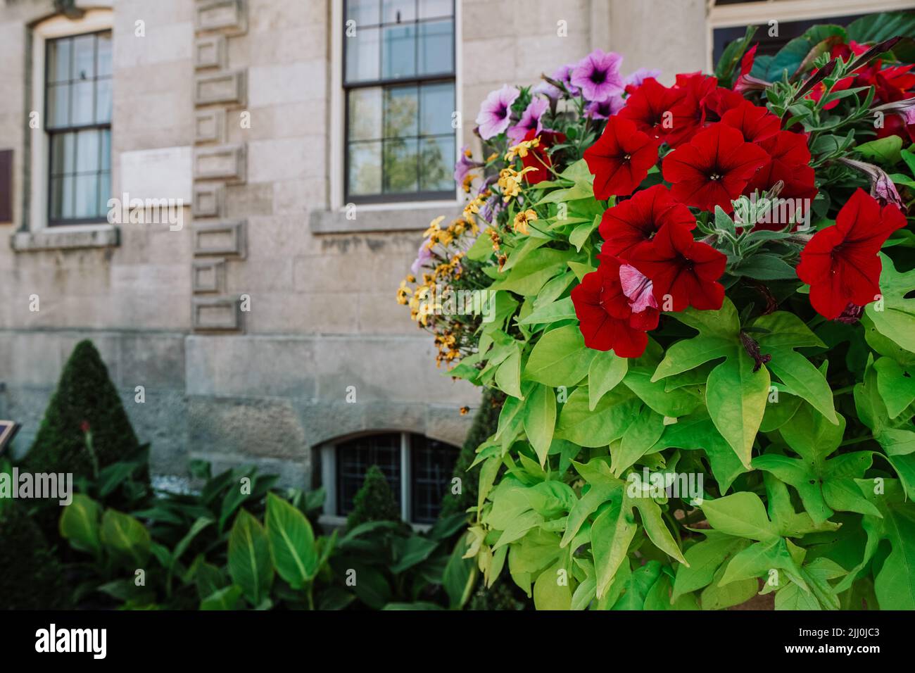 Die Blumendekoration ist im Sommer in Niagara-on-the-Lake, Ontario, Kanada, ein Wochenendziel für Kanadier, beliebt Stockfoto