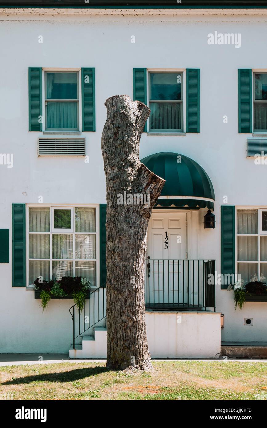 Ein gehackter Baum vor einem Haus Stockfoto