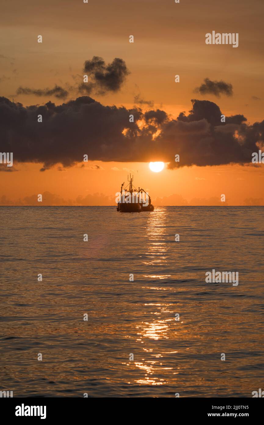 Wunderschöner, goldener Sonnenaufgang über Palm Cove mit der Silhouette eines Fischtrawlers, der vor der Küste in Far North Queensland in Australien vor Anker liegt. Stockfoto