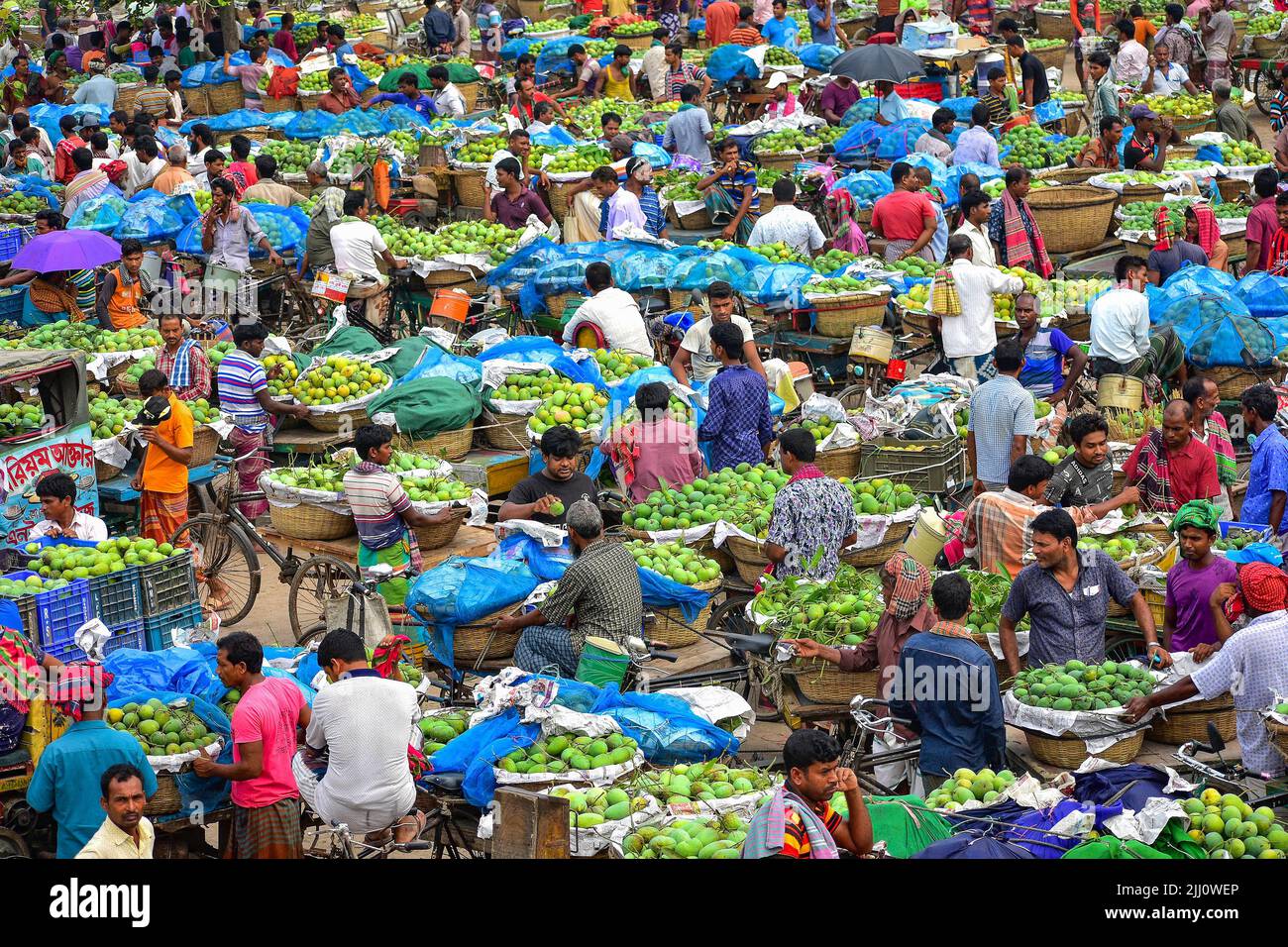Geschäftiger Mangobarkt im ländlichen Bangladesch, Mangos auf zwei- und Dreirädern, lokale Händler, Desi Vibes, Sommerernte, traditioneller Handel Stockfoto