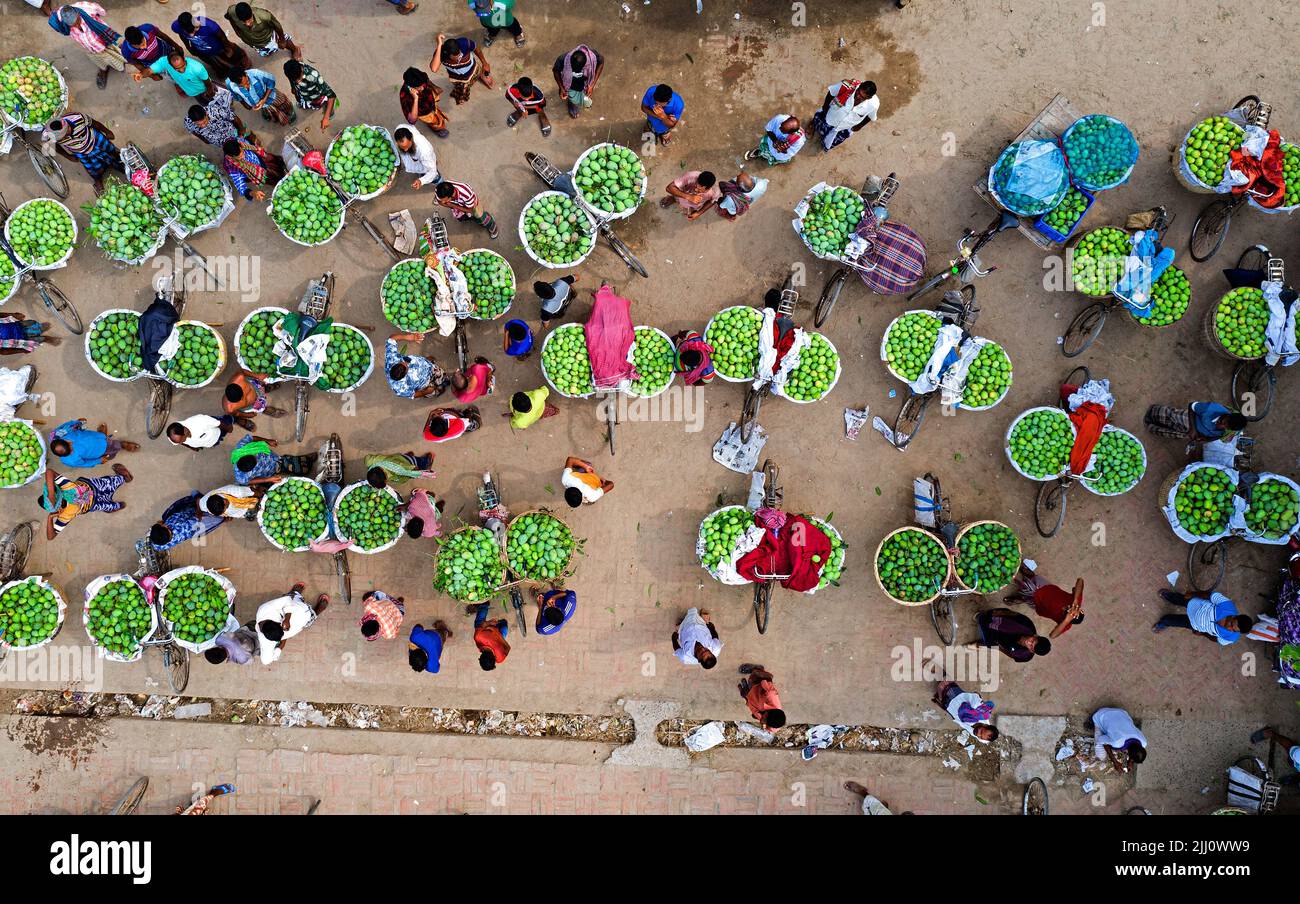 Geschäftiger Mangobarkt im ländlichen Bangladesch, Mangos auf zwei- und Dreirädern, lokale Händler, Desi Vibes, Sommerernte, traditioneller Handel Stockfoto
