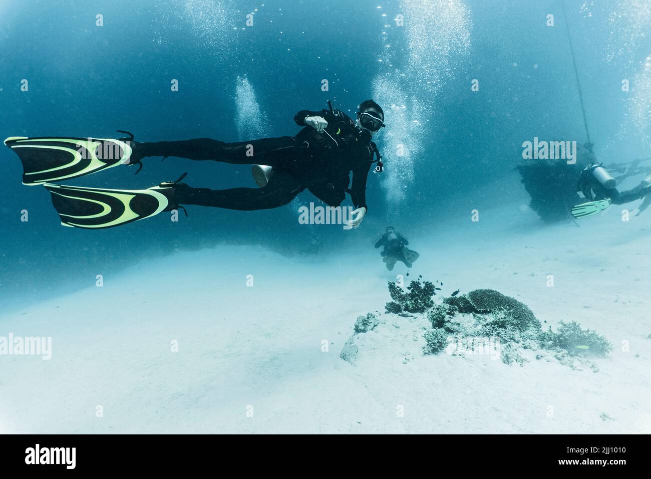 tauchen beim Aufstieg zum Meeresboden am Tubbataha Reef Stockfoto