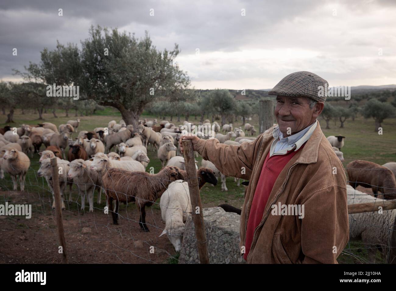 Schafhirten alten Berufe Portugal Stockfoto