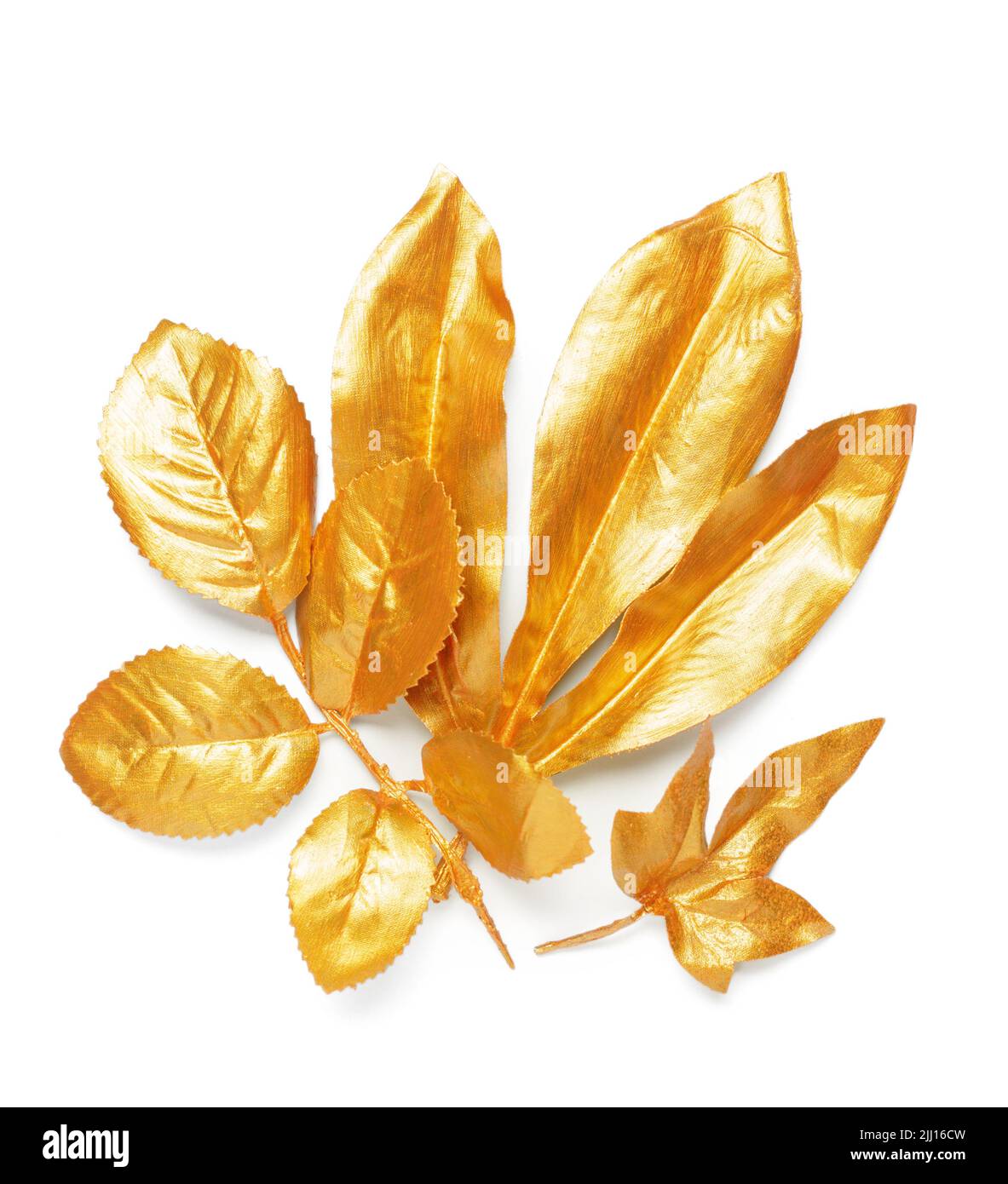 Golden Leaf Design Elemente. Stockfoto