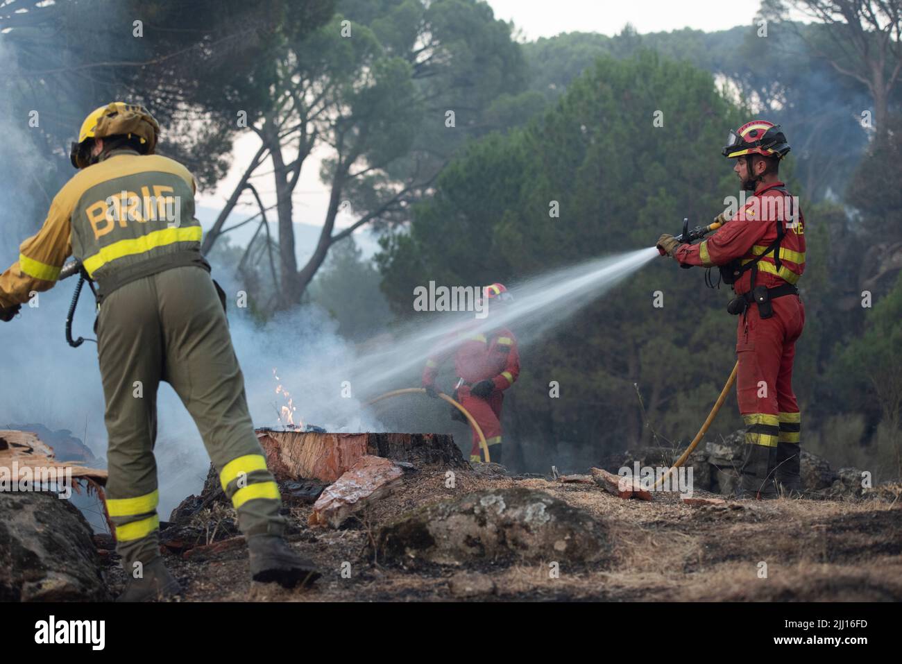 Spanien - Ávila - Cebreros - Brandwelle in Spanien - infolge der hohen Temperaturen und einer historischen Hitzewelle trafen viele Waldbrände auf der Iberischen Halbinsel. Die Brigaden und Feuerwehrleute versuchen heldenhaft, mit den Flammen umzugehen, die immer unantastbarer und schwer zu löschen werden. Stockfoto