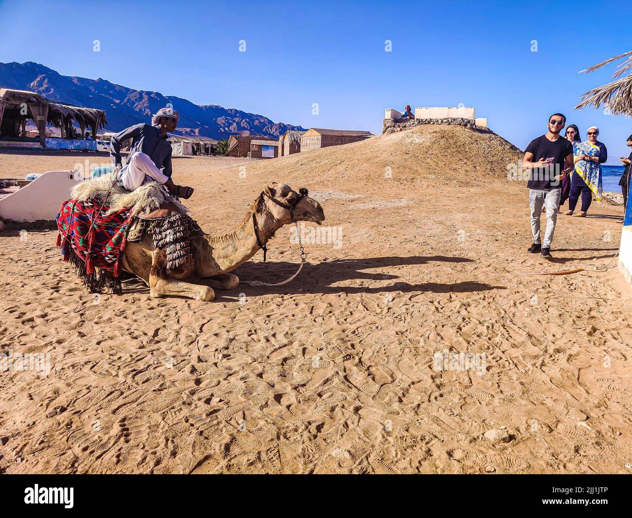 Der Beduinenmann steht neben seinem Kamel an der Küste von Rashitan, Sinai, Ägypten Stockfoto