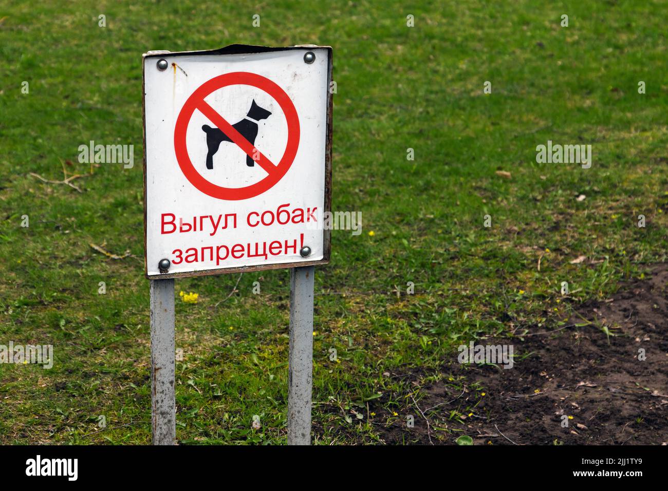Weißes Schild mit russischem Text Hundegehen ist verboten steht auf einem grünen Gras Stockfoto