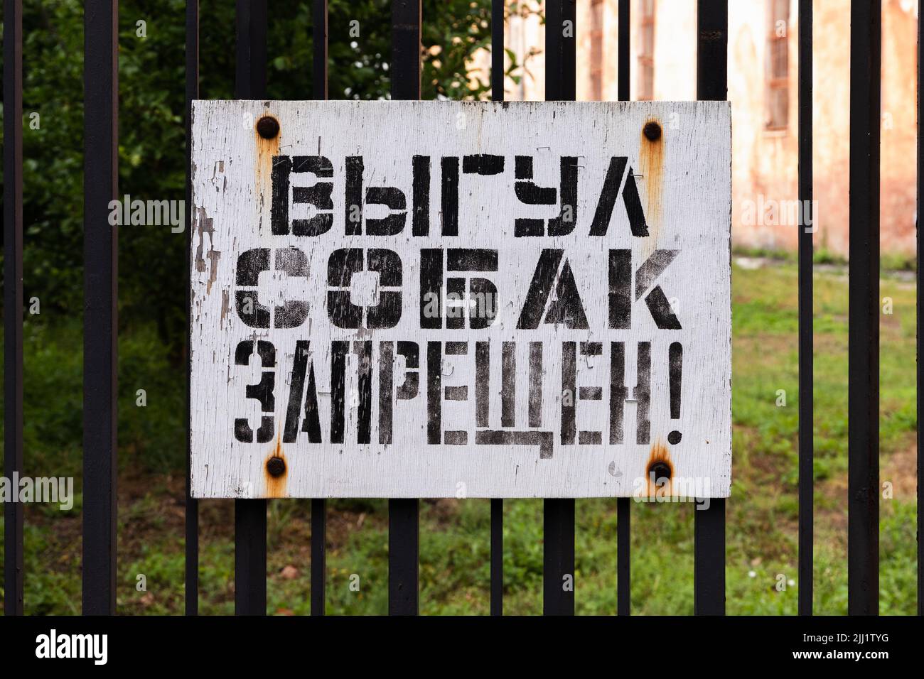 Grungiges Whiteboard mit russischem Text: Hundegehen ist verboten Stockfoto