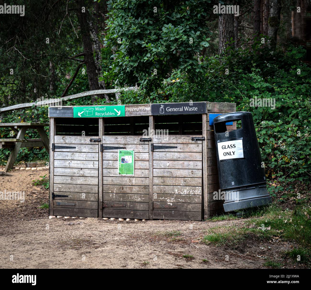 Recycling von Mülltonnen in einem Waldgebiet, das bei Spaziergängern beliebt ist. Stockfoto