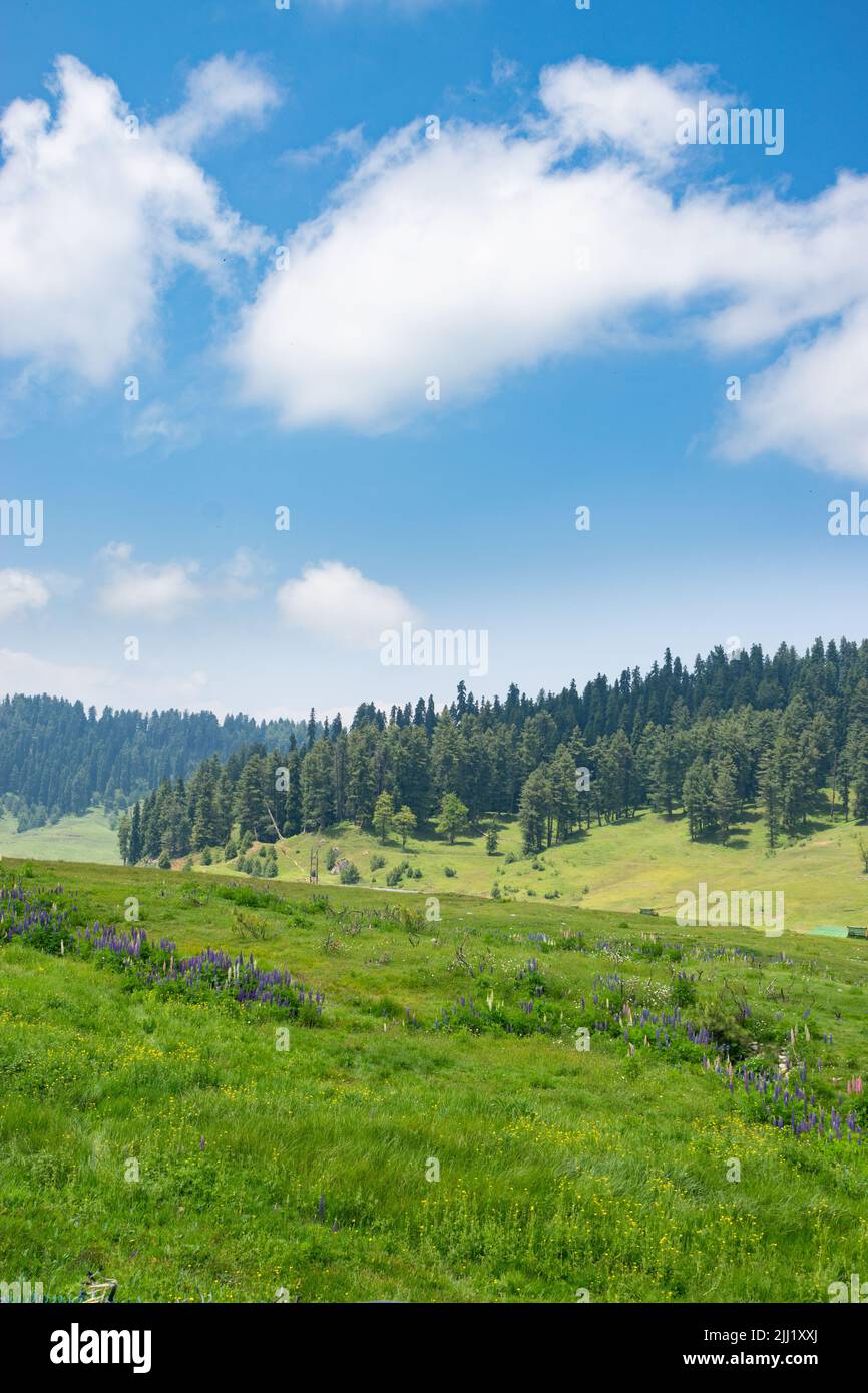 Dieses Foto zeigt den Frieden und die himmlische Schönheit, die im Tal von Kaschmir herrscht, das vom Terrorismus verschlungen wurde. Stockfoto