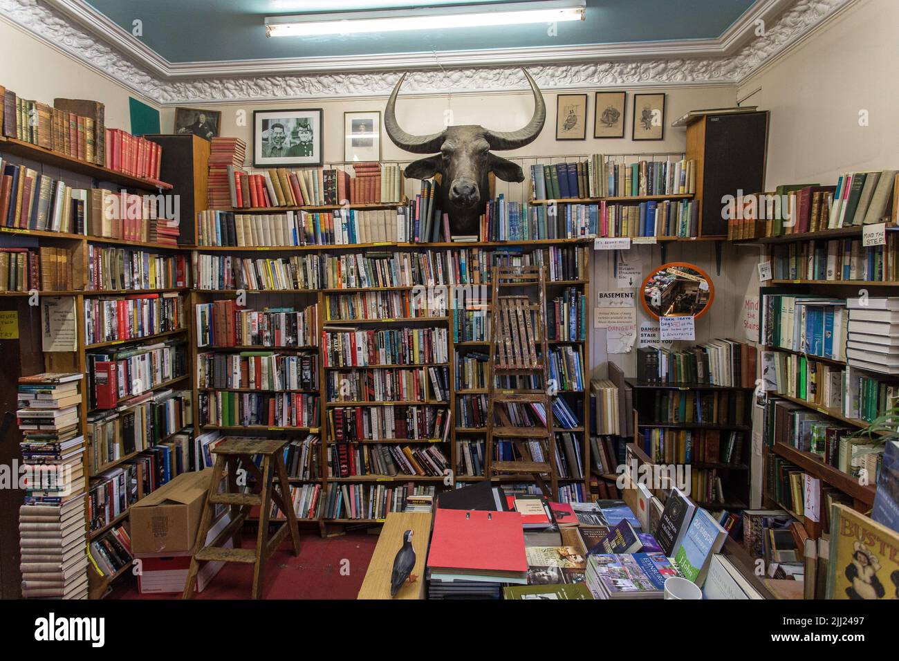 Buchhandlung Edinburgh Books in Edinburgh, Schottland Stockfoto