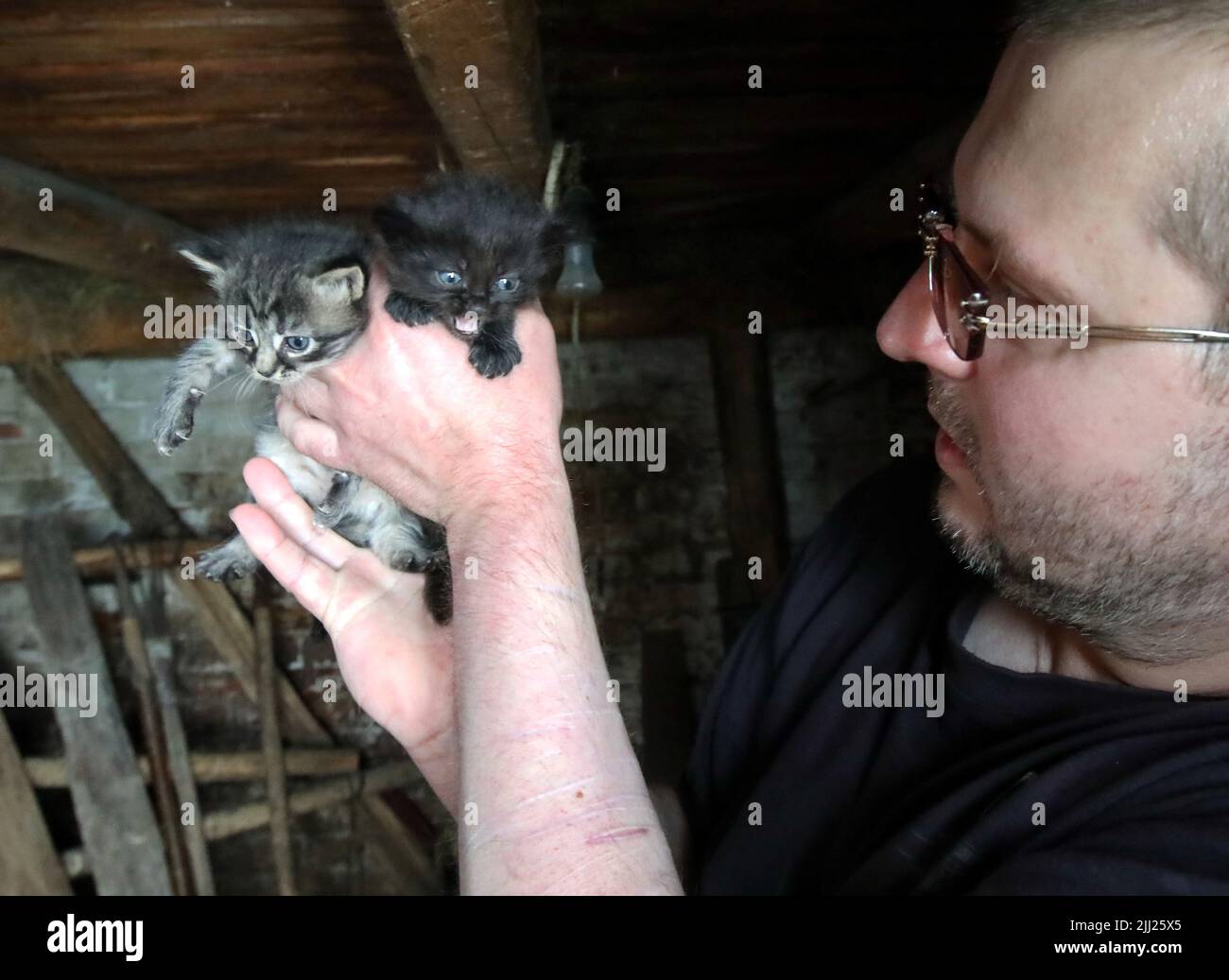 Nicht exklusiv: MAKARIV, UKRAINE - 21. JULI 2022 - Serhii Kopyl, 40, zeigt neugeborene Kätzchen, Makariv, Bezirk Bucha, Kiew, nördliche Ukraine. Liu Stockfoto