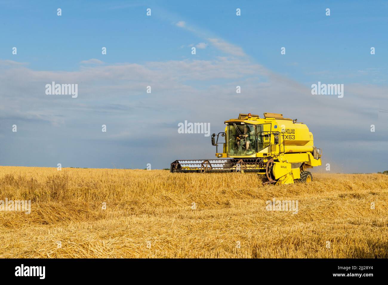 An einem warmen Sommerabend im Gal of Glamorgan den Weizen mit einem massiven gelben Mähdrescher einbringen. Stockfoto