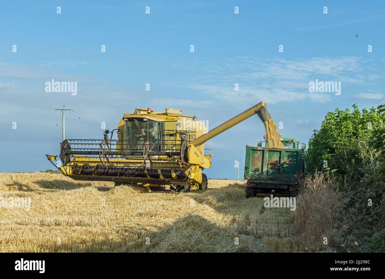 An einem warmen Sommerabend im Gal of Glamorgan den Weizen mit einem massiven gelben Mähdrescher einbringen. Stockfoto