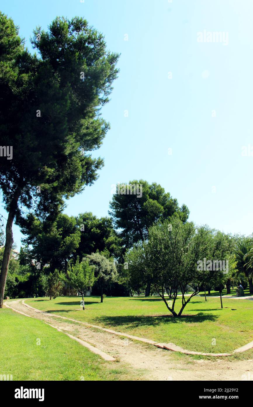 Turia Park in Valencia Stockfoto